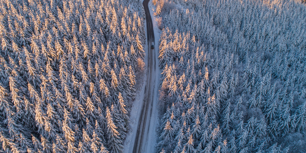 GARO appoints Joe Ree as Interim President and CEO