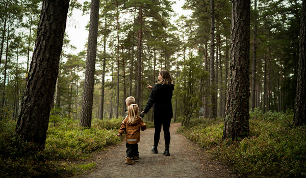 Sustainable Material Choices at GARO