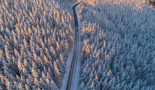 GARO appoints Joe Ree as Interim President and CEO