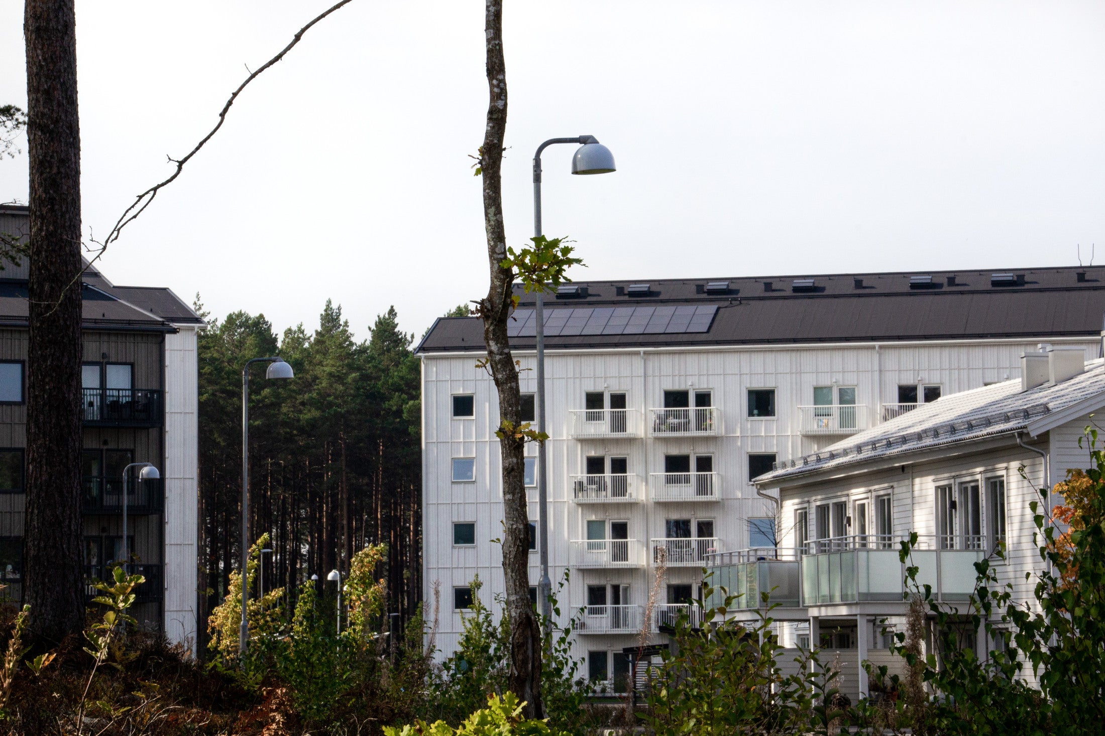 Surge protection for solar panels