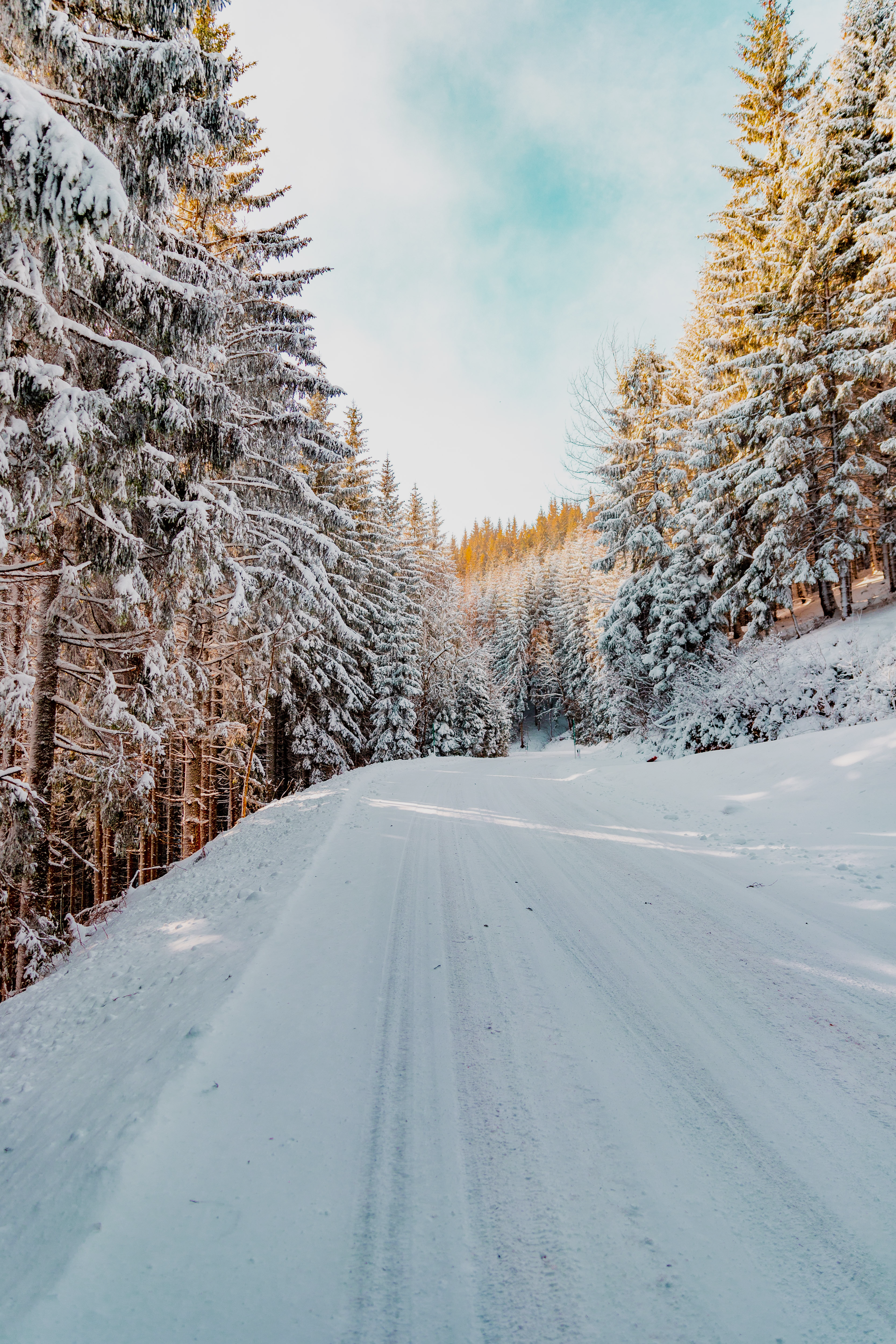 Engine heaters: environmentally friendly and efficient solutions
