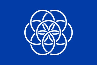 International Flag